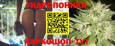 прущая мука Будённовск