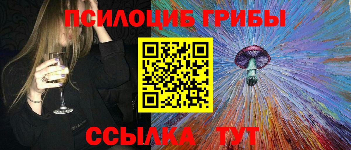 Ногинск  что такое   Вход с VPN  Галлюциногенные грибы Cubensis 